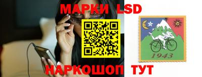 mdpv Камышлов