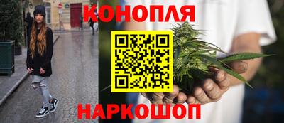 mdpv Камышлов