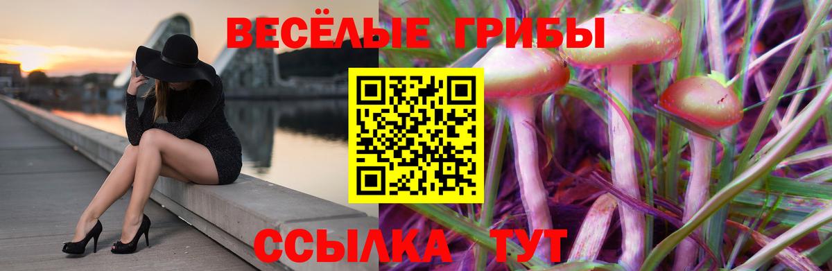 Галлюциногенные грибы мицелий Ленинск-Кузнецкий